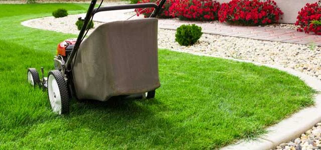 Want To Improve Your Lawn? Three Ways To Do It